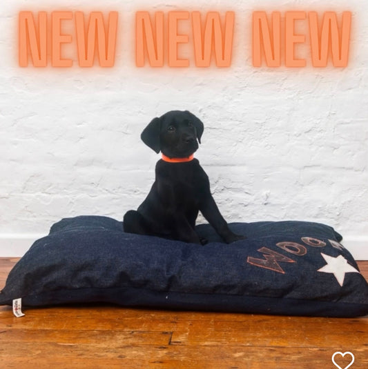 New WOOF Bed is launched