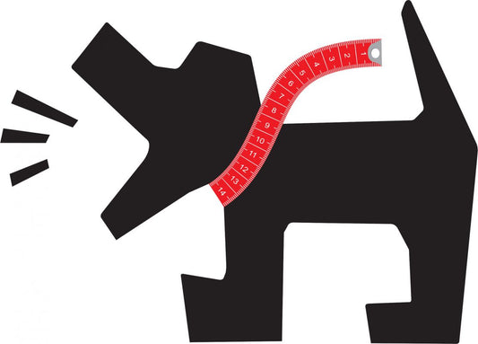 How To Measure For A Dog Collar & Other FAQs