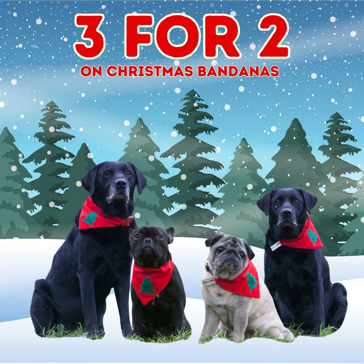 3 for 2 on Christmas Bandanas!