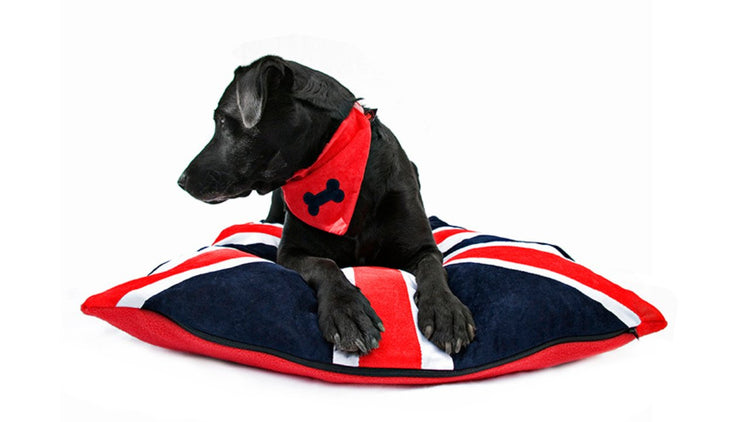 Flag dog beds