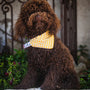 Slip on Dog Bandana in Gingham Yellow