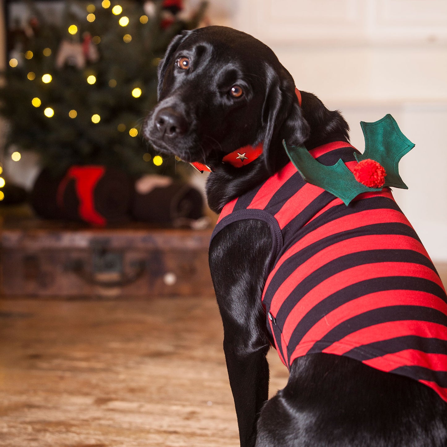 T Shirt with velcro on Christmas Holly or Batwings