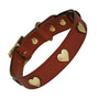 Brass Heart Tan Leather Dog Collar