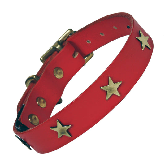 Brass Star Red Leather Dog Collar, Creature Clothes