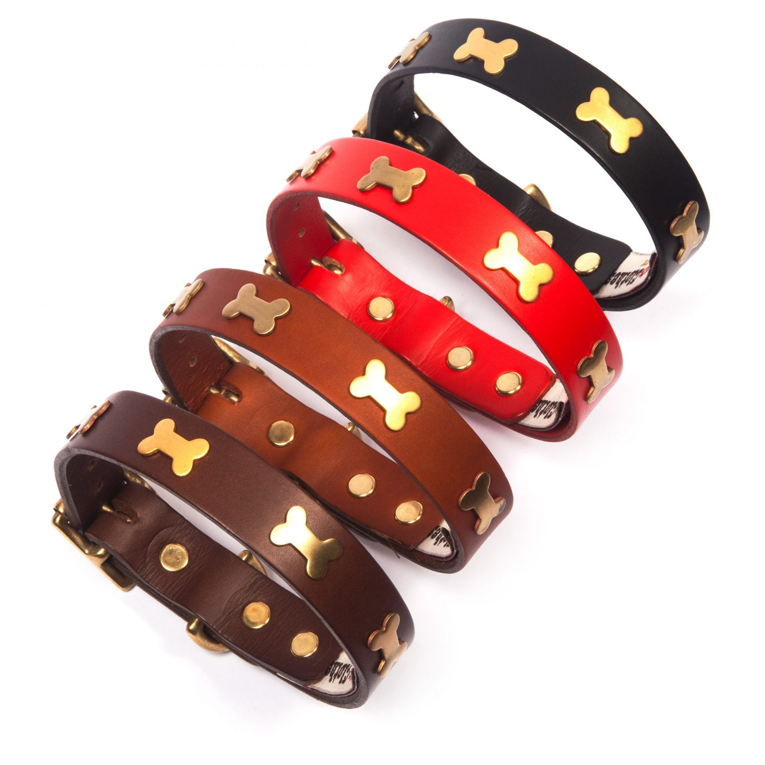 Brass studded dog collars in various colours, Creature Clothes