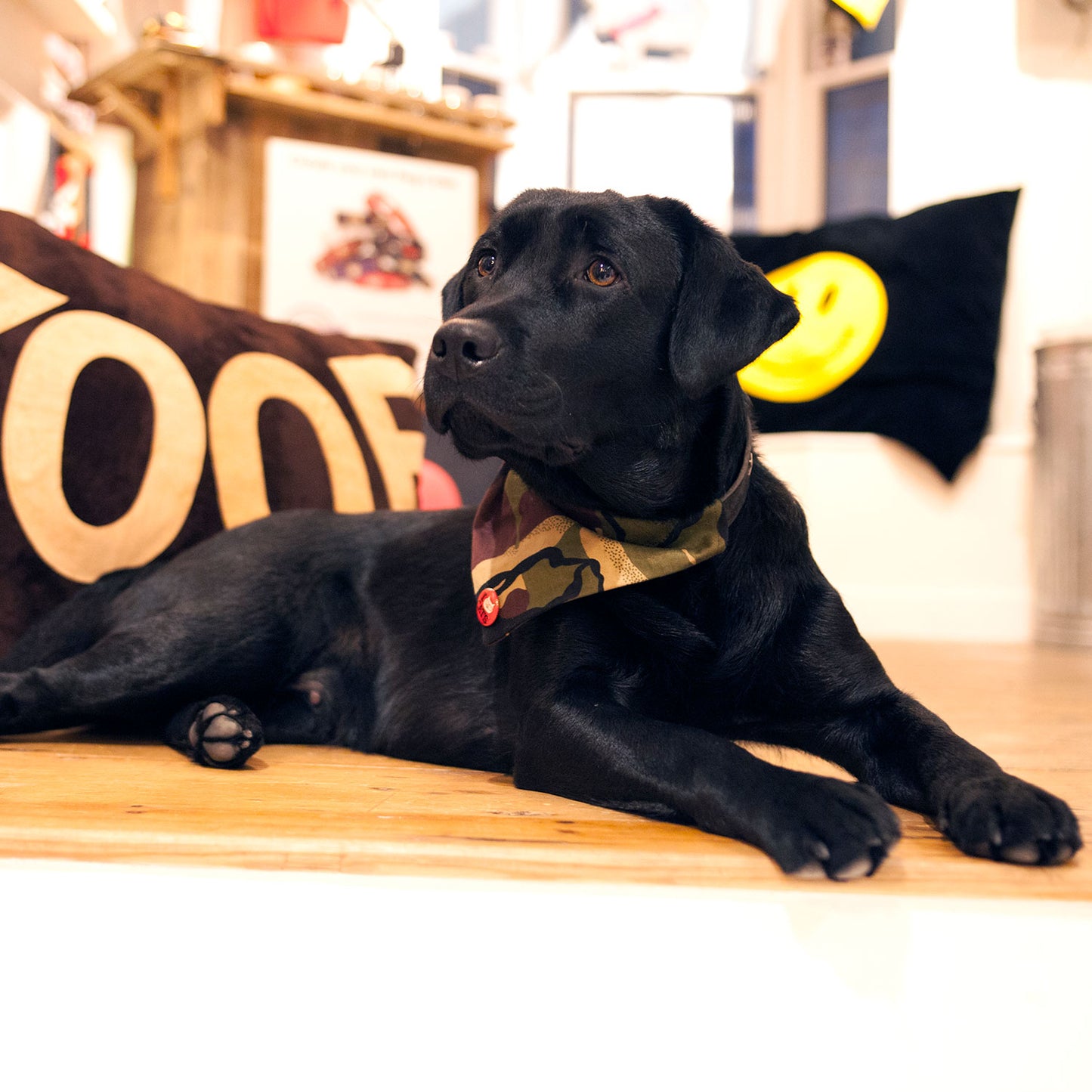 Slip on Dog Bandana in Camo