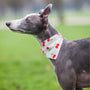 Slip on Dog Bandana in Cherries