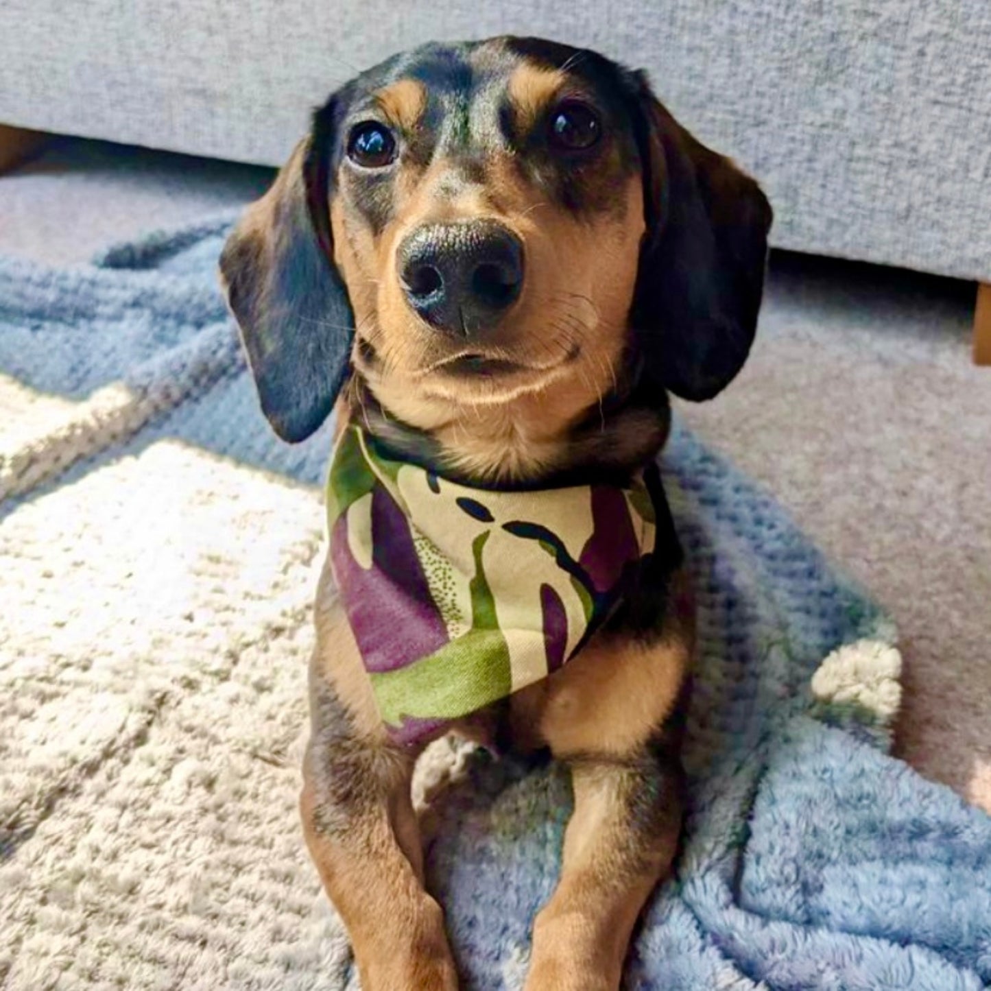 Slip on Dog Bandana in Camo