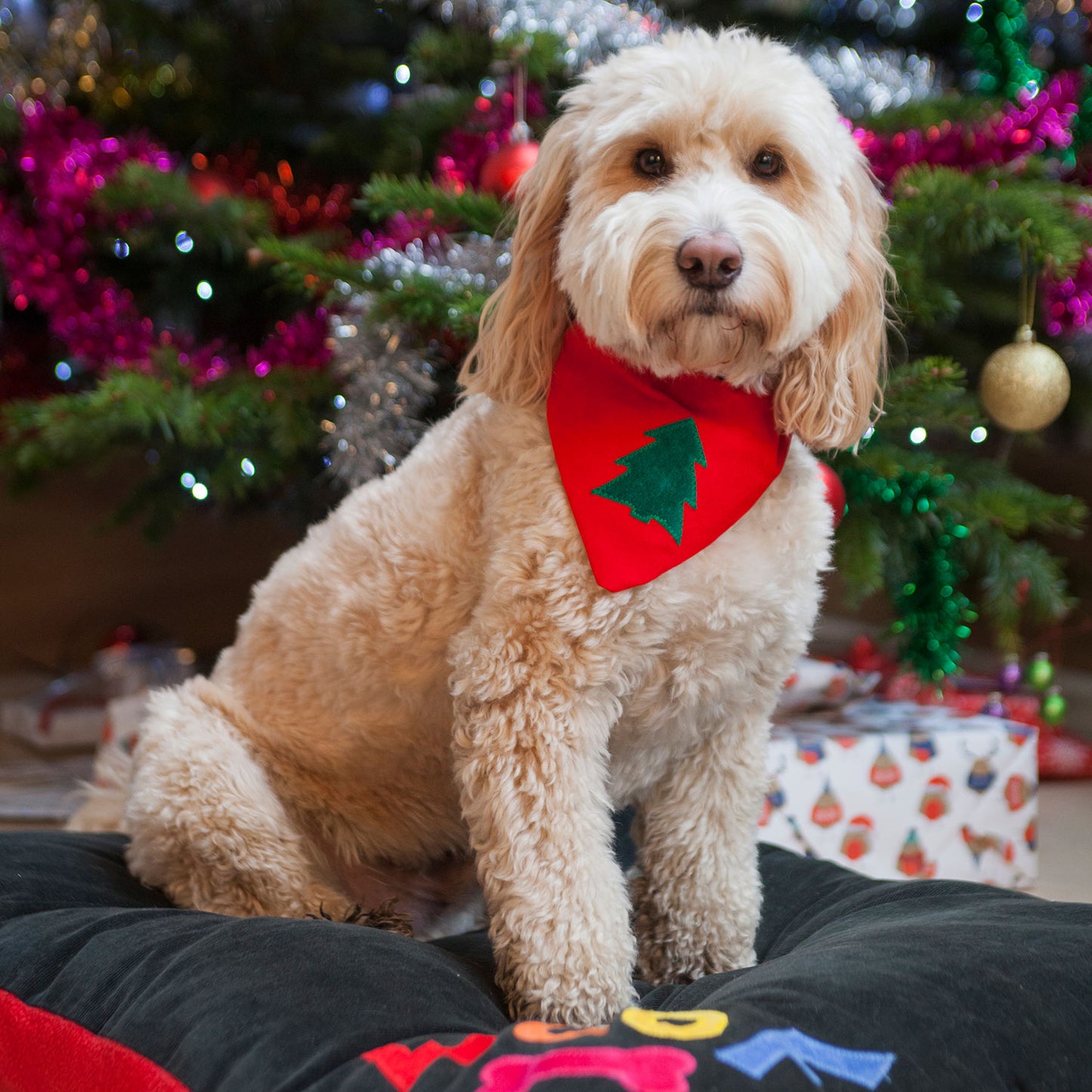 Slip on Dog Bandana - Classic Christmas Tree