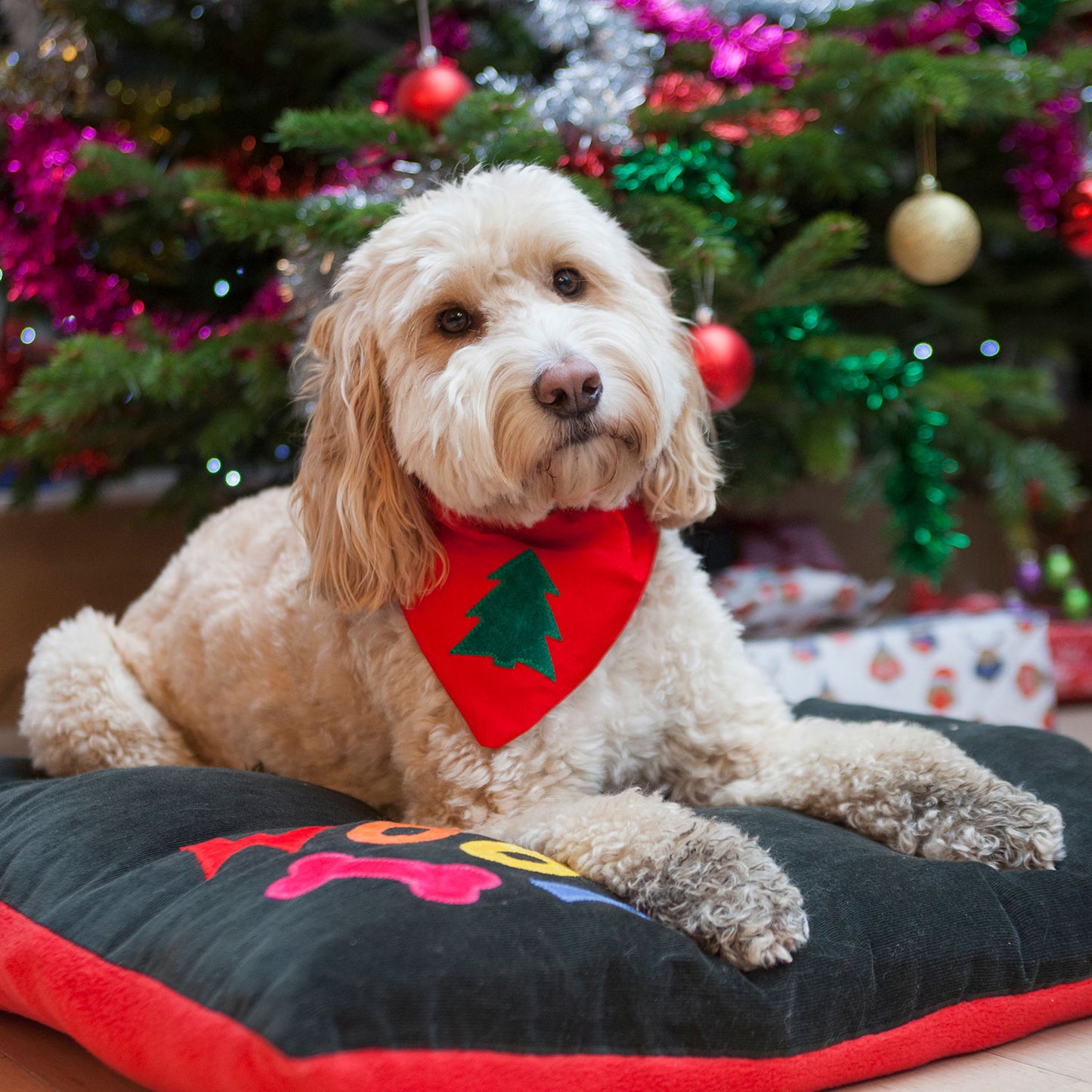 Slip on Dog Bandana - Classic Christmas Tree