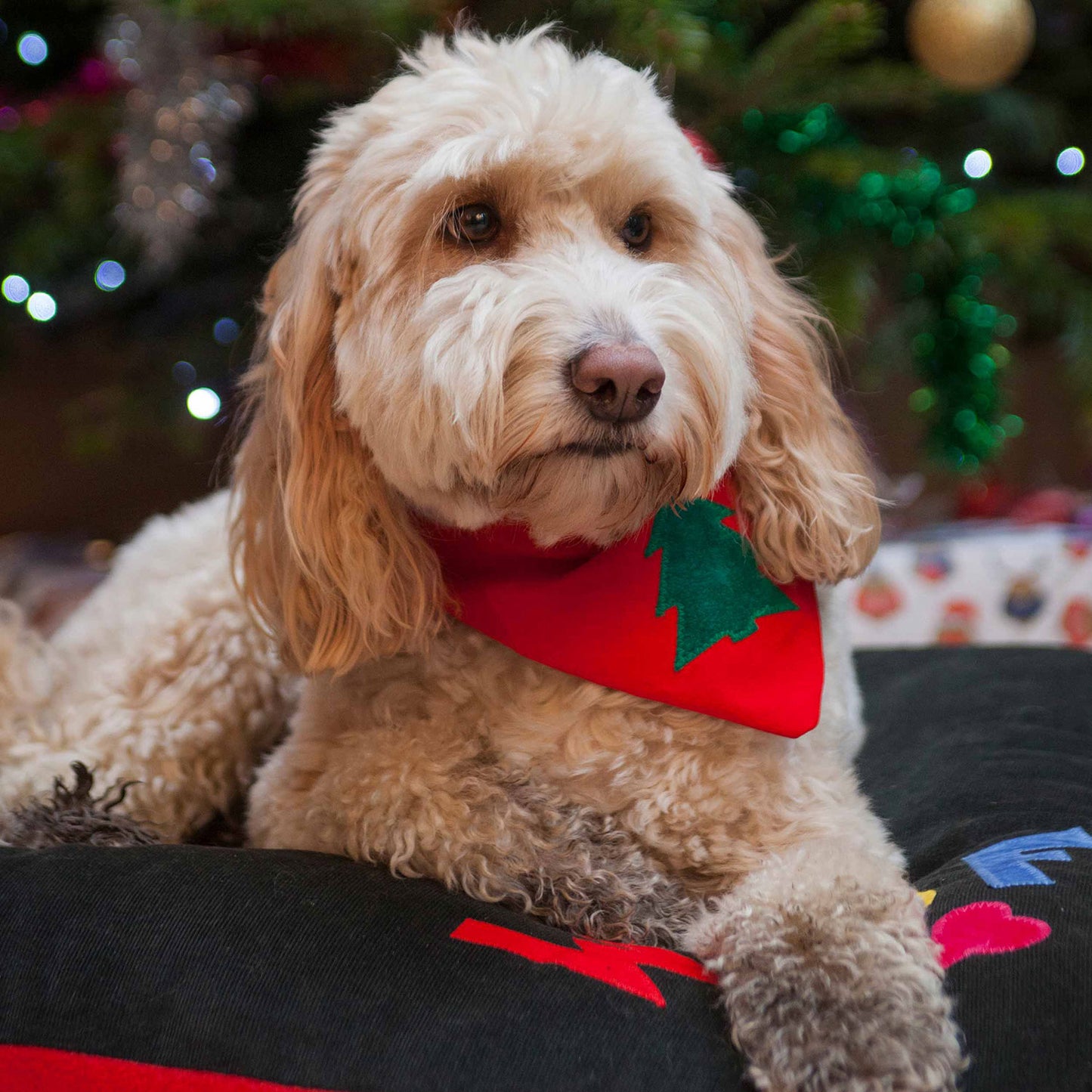 Slip on Dog Bandana - Classic Christmas Tree