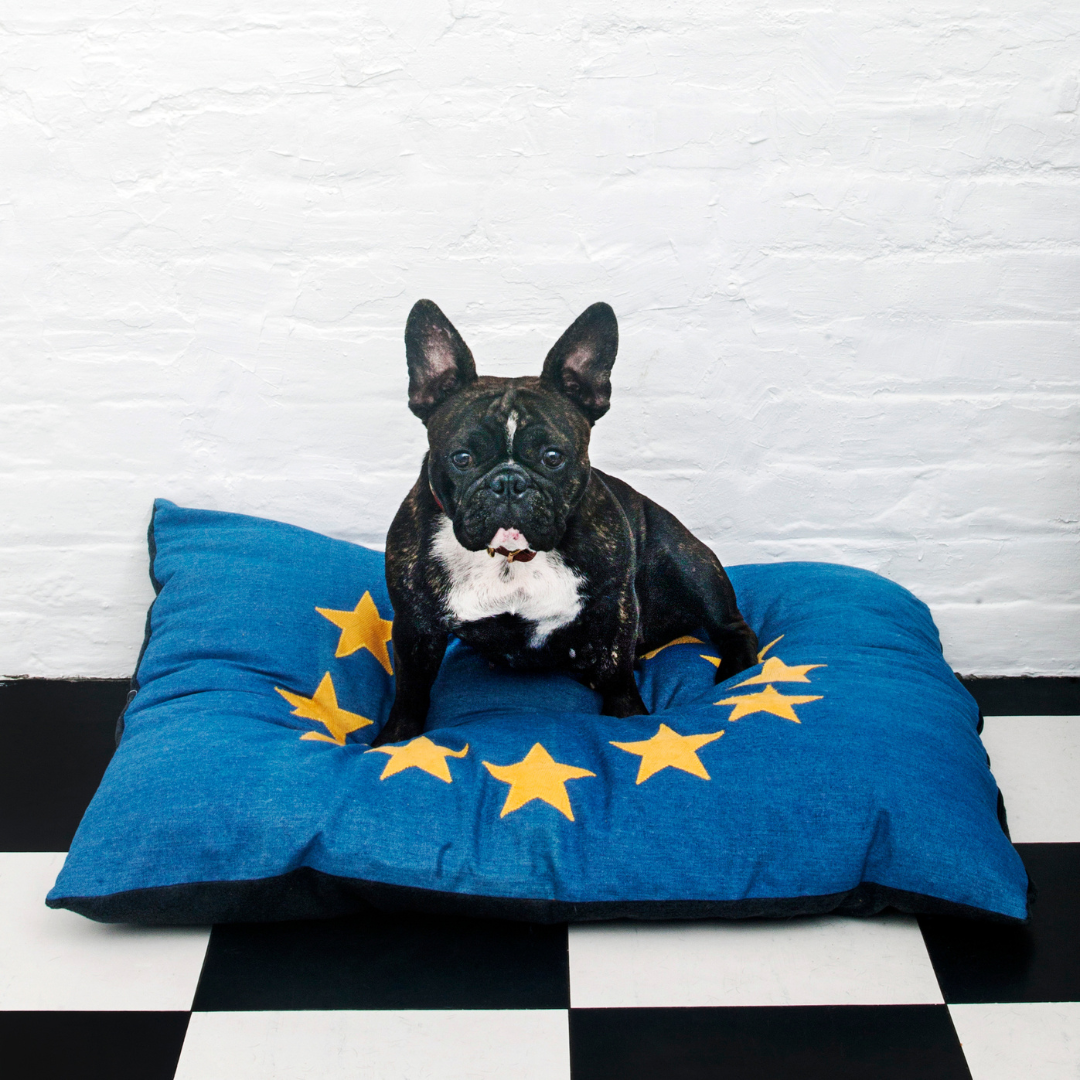 EU Flag Dog Bed