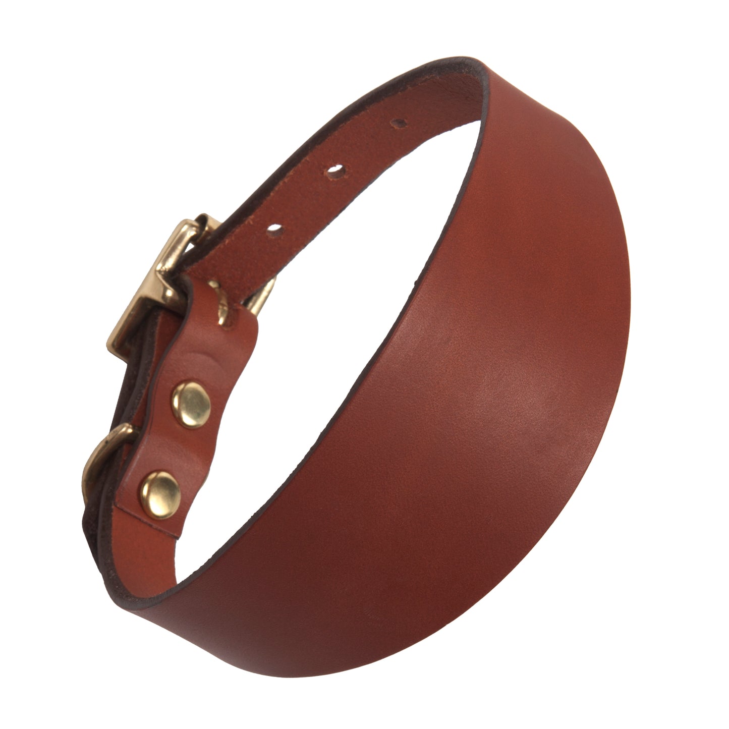 Sighthound Dog Collar in Tan Leather