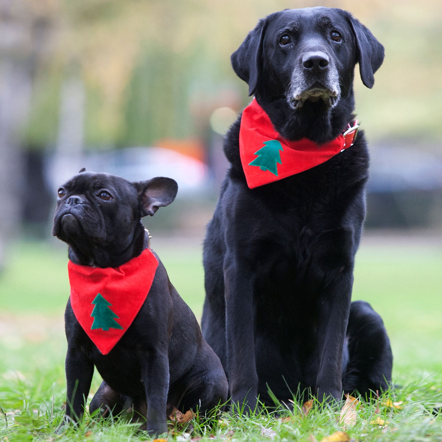 Slip on Dog Bandana - Classic Christmas Tree