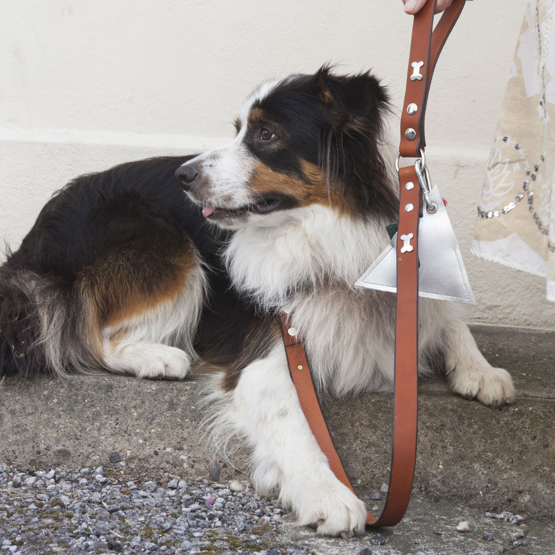 Silver Bone Tan Leather Dog Lead