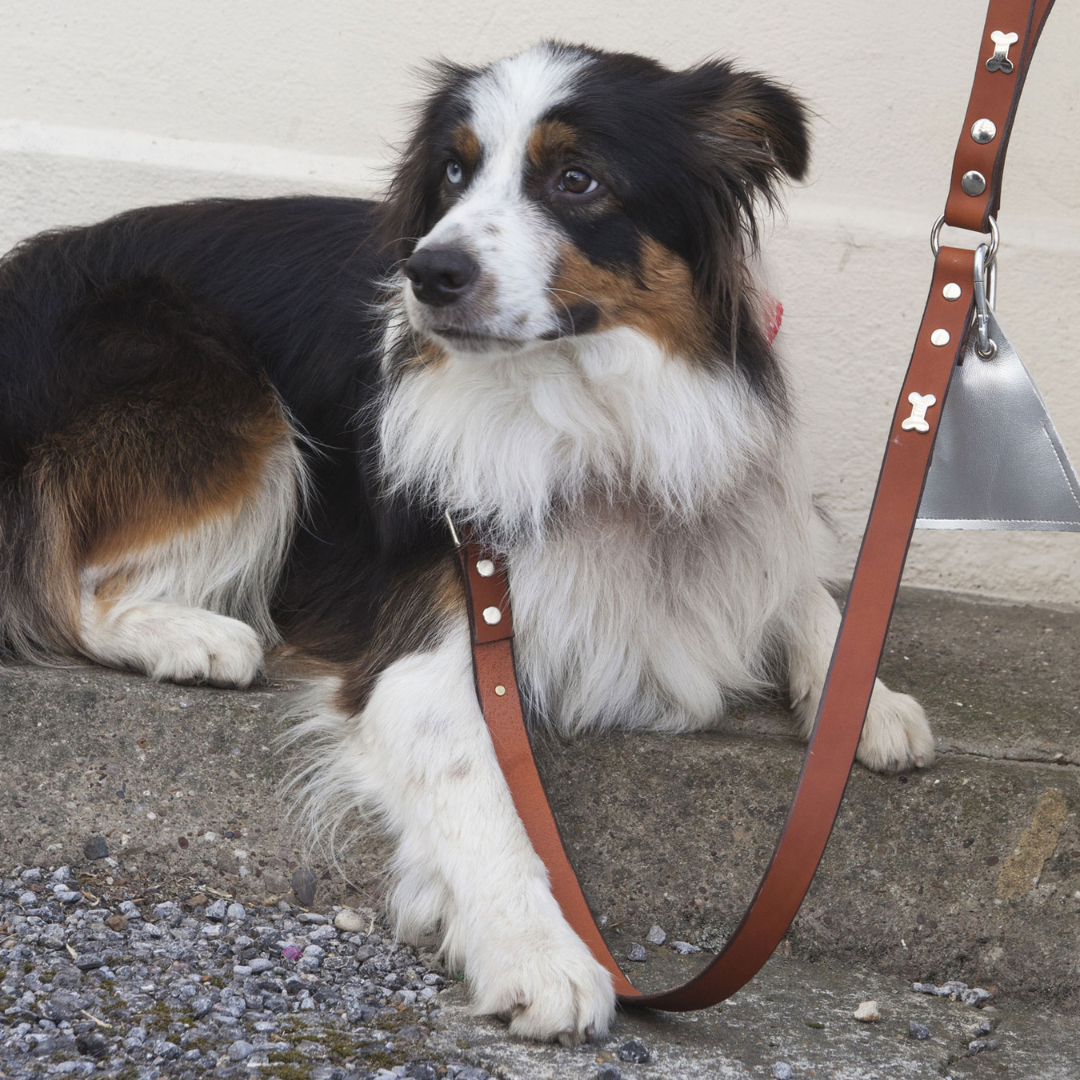 Silver Bone Tan Leather Dog Lead