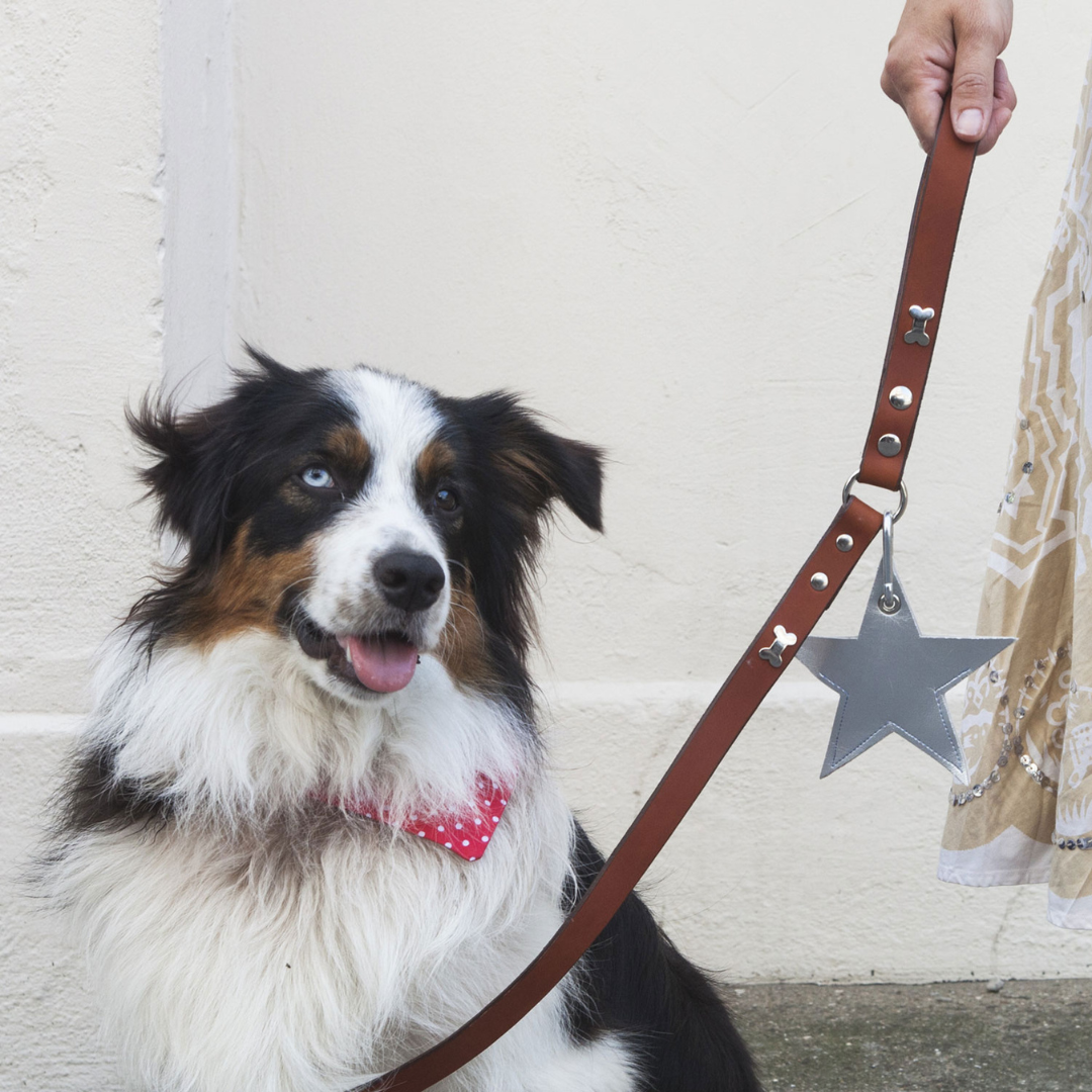 Silver Bone Tan Leather Dog Lead