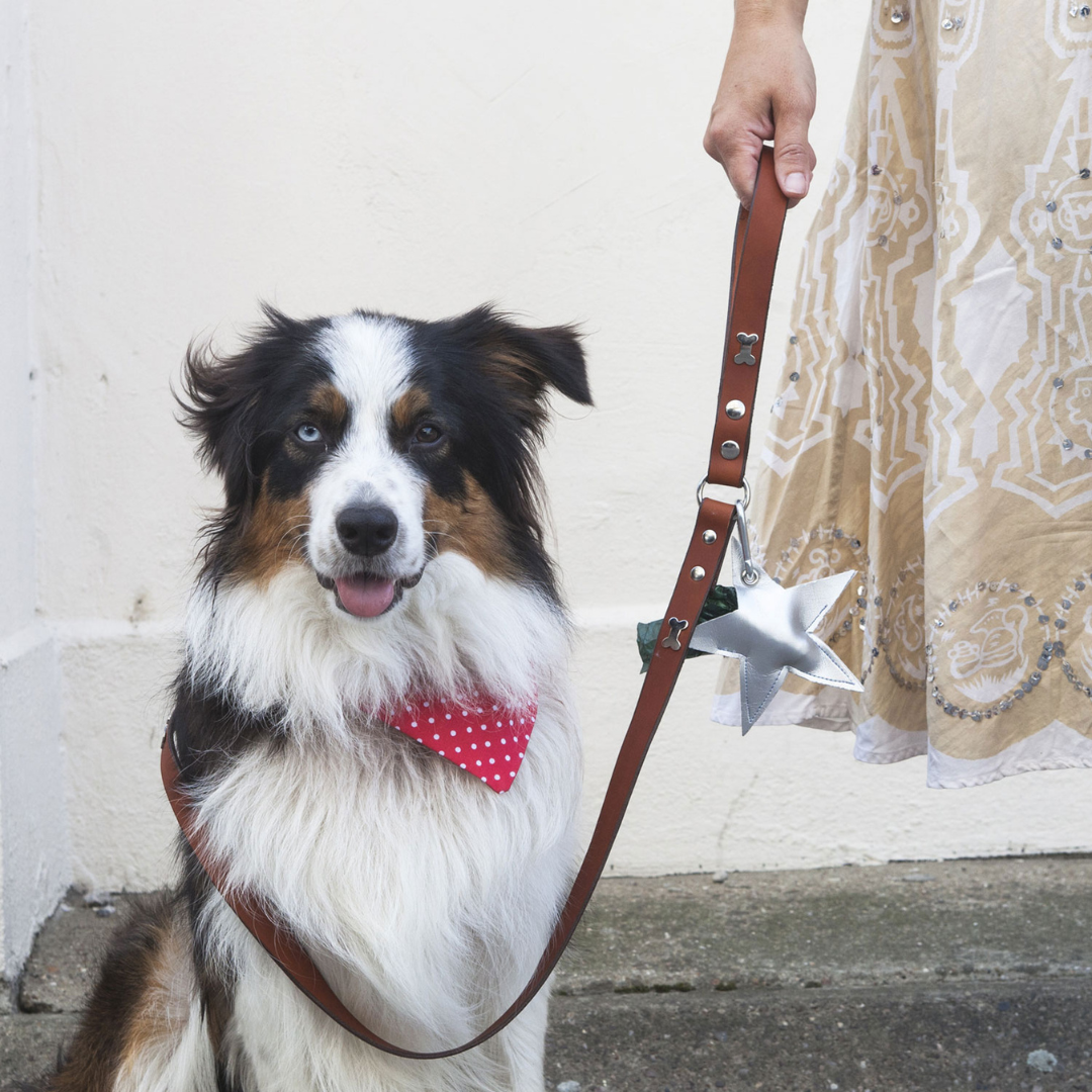 Silver Bone Tan Leather Dog Lead