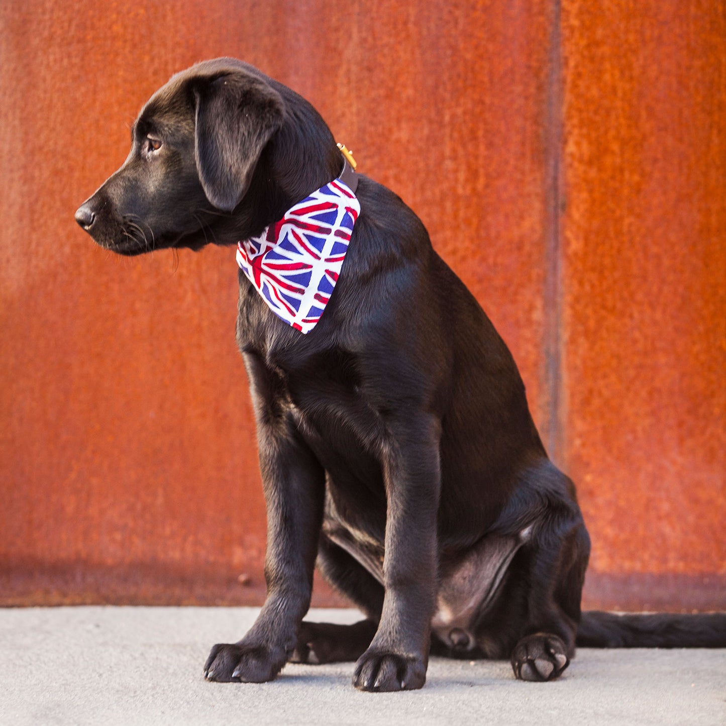 Slip on Dog Bandana in Union Flag