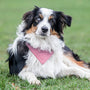 Slip on Dog Bandana in Gingham Red