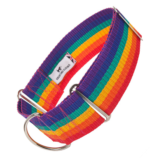 Martingale Dog Collar In Rainbow Pride