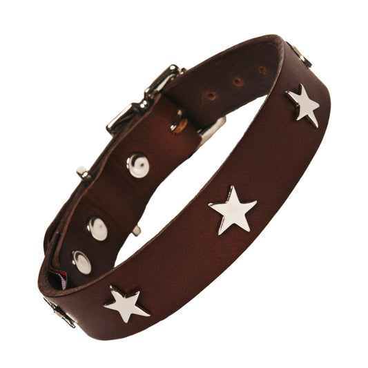 Silver Stars Chocolate Brown Leather Dog Collar, Creature Clothes