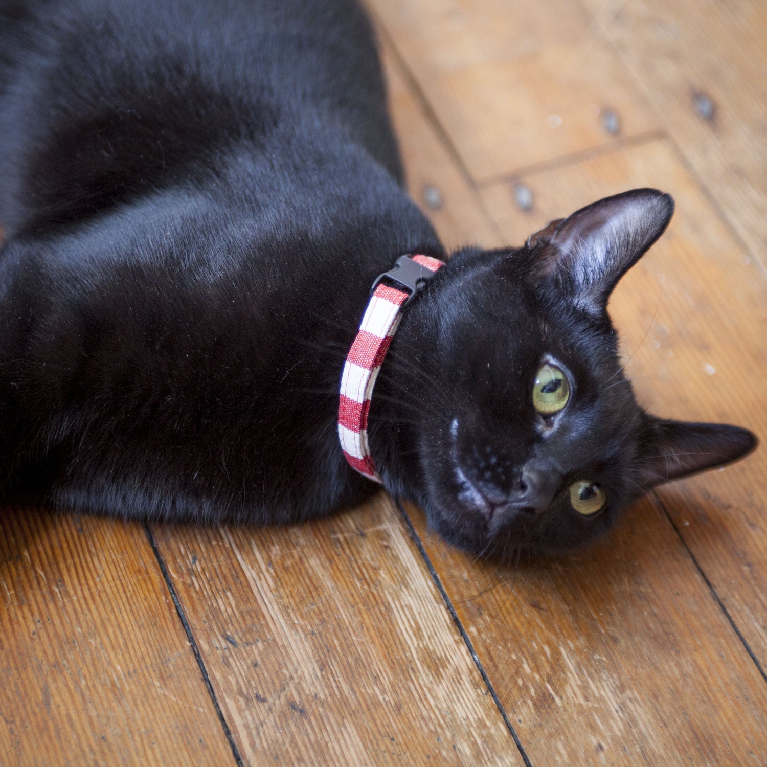 Cat Collar in Red and White Stripe, Creature Clothes