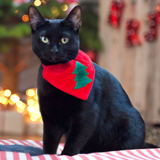 Cat Bandana in Classic Christmas Tree