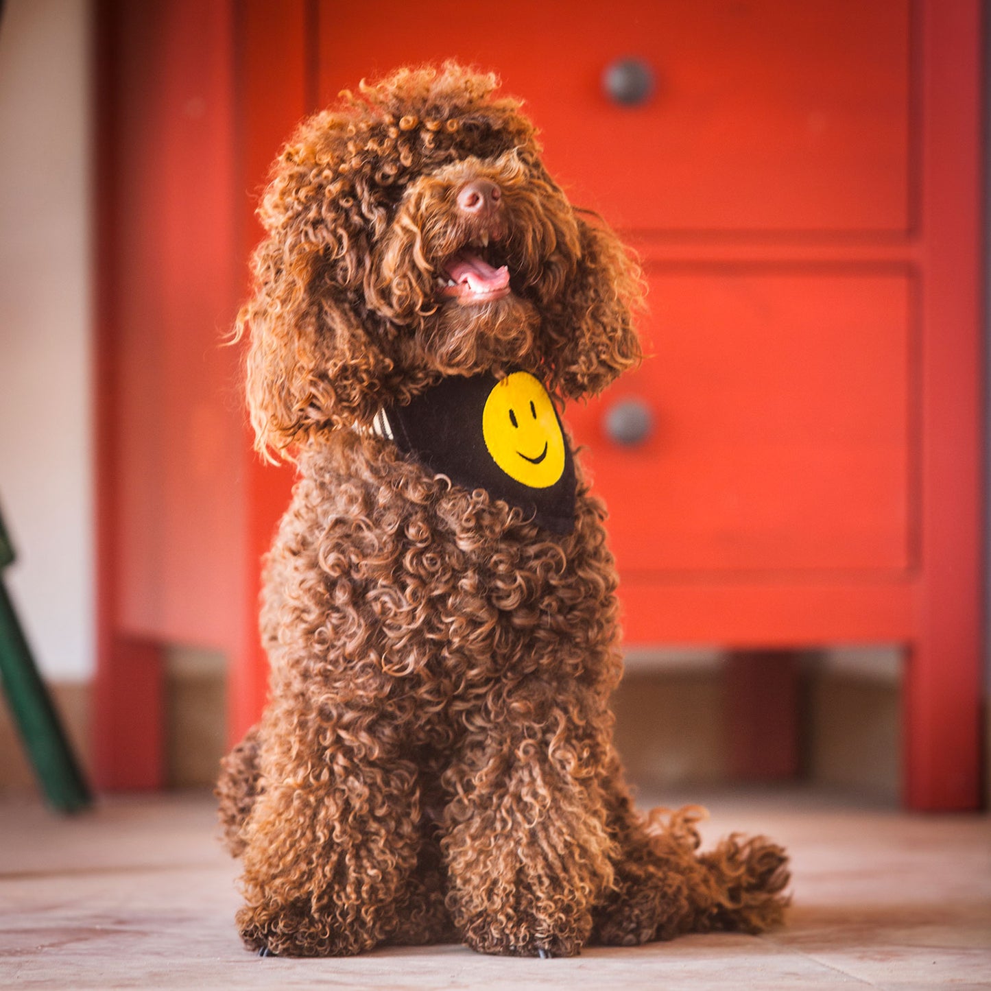 Slip on Dog Bandana - Smiley Face