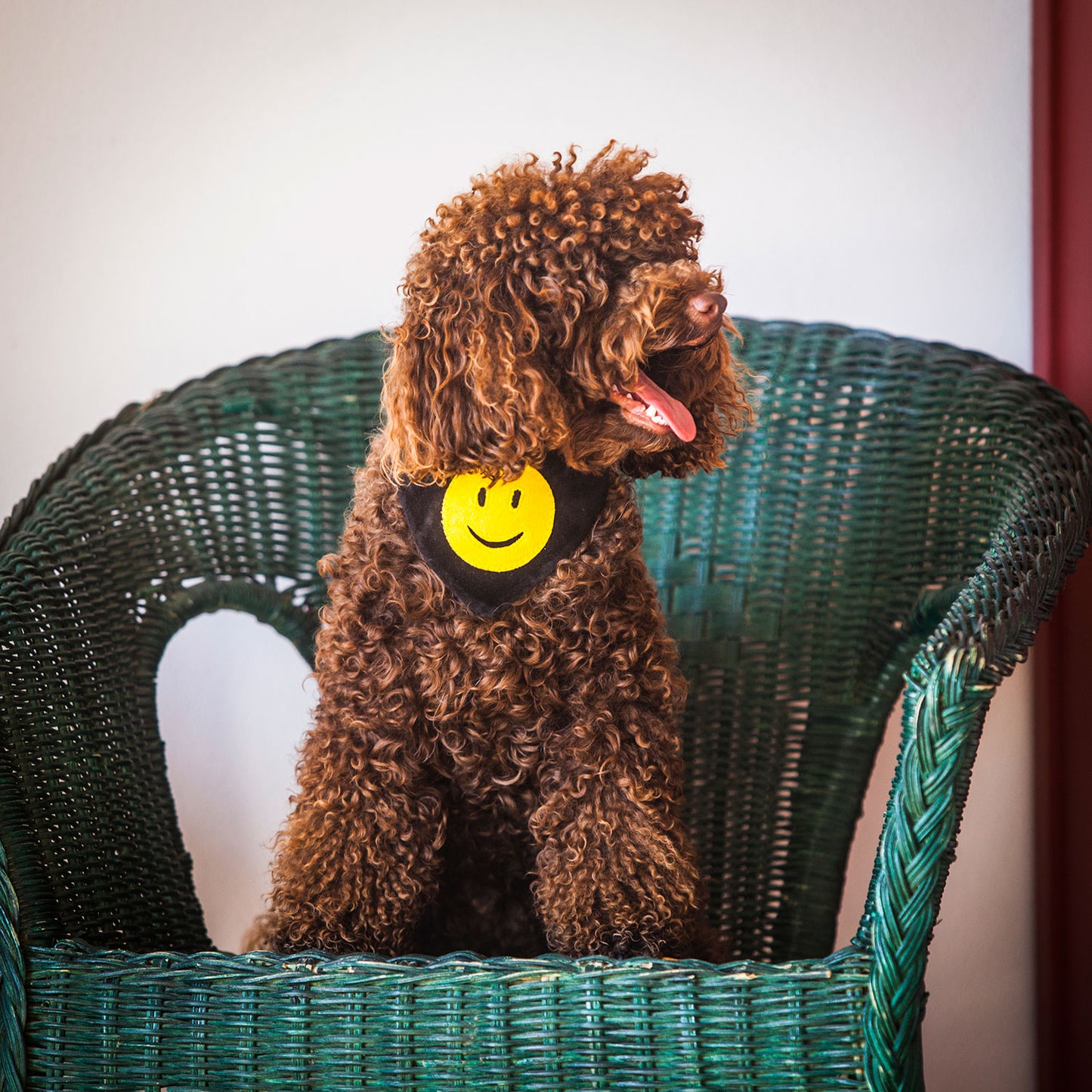 Slip on Dog Bandana - Smiley Face