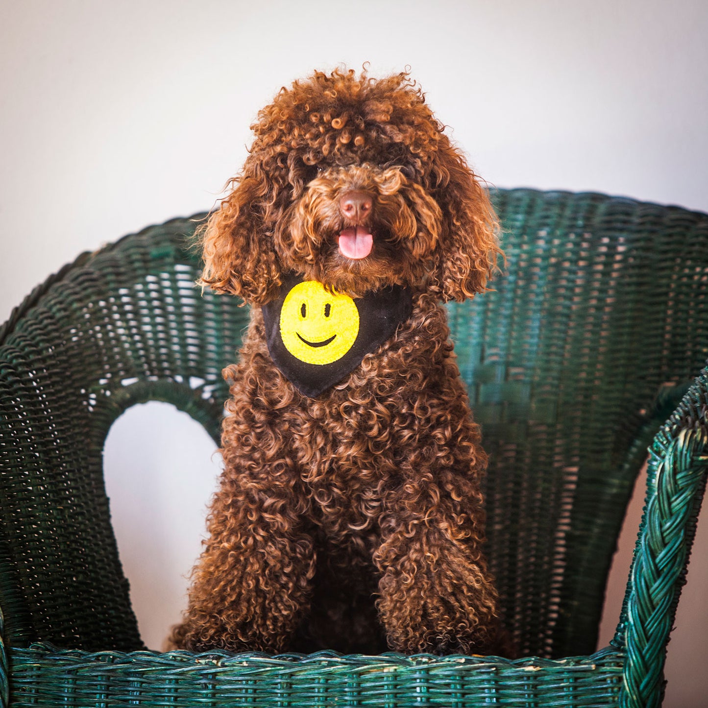 Slip on Dog Bandana - Smiley Face