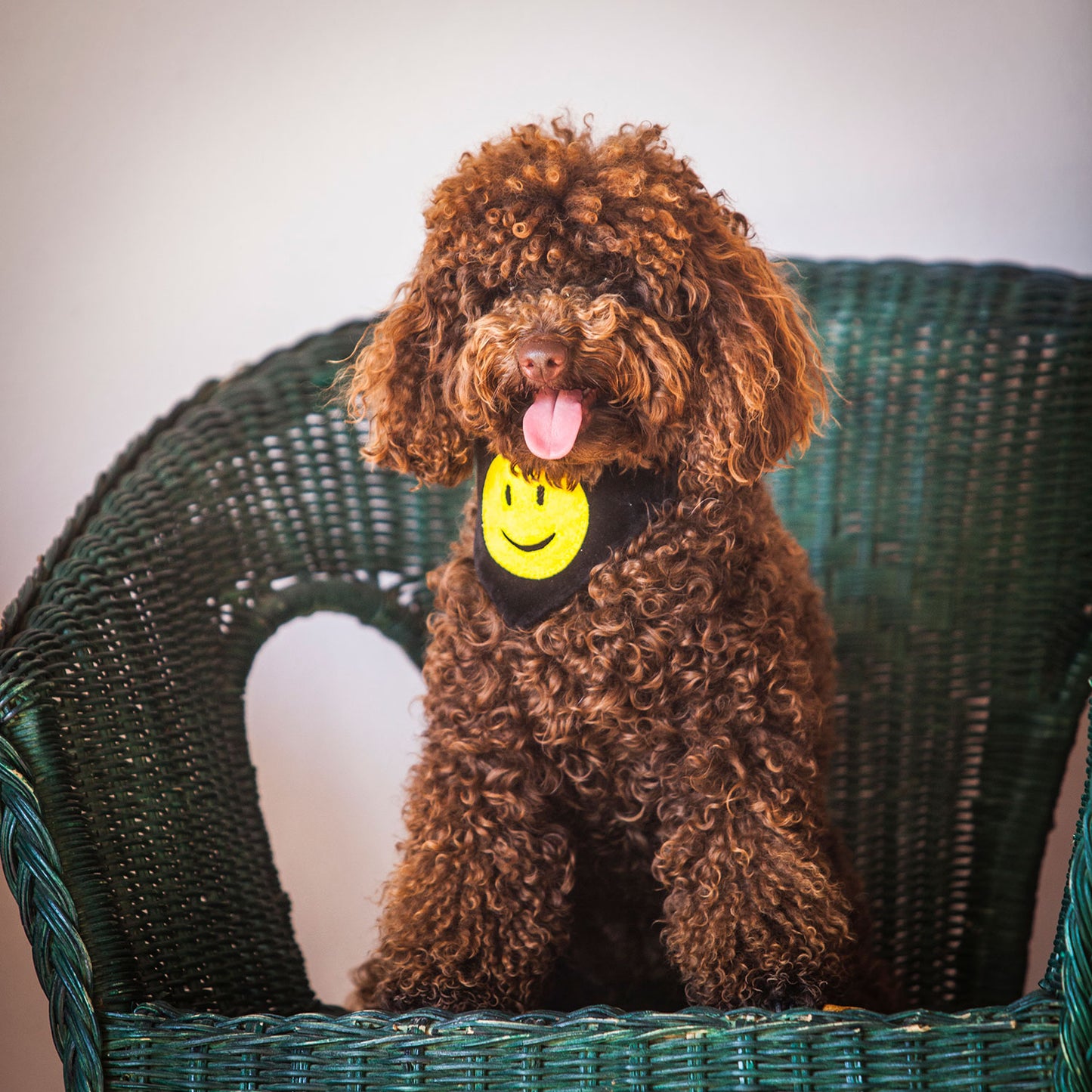 Slip on Dog Bandana - Smiley Face