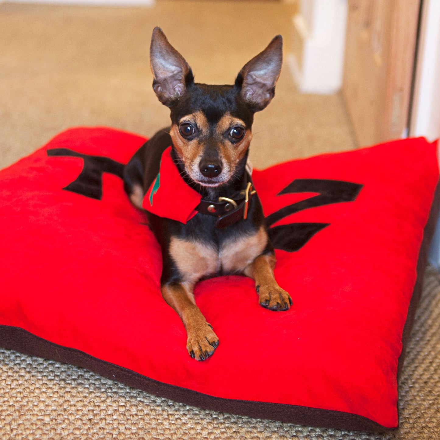 Slip on Dog Bandana - Classic Christmas Tree