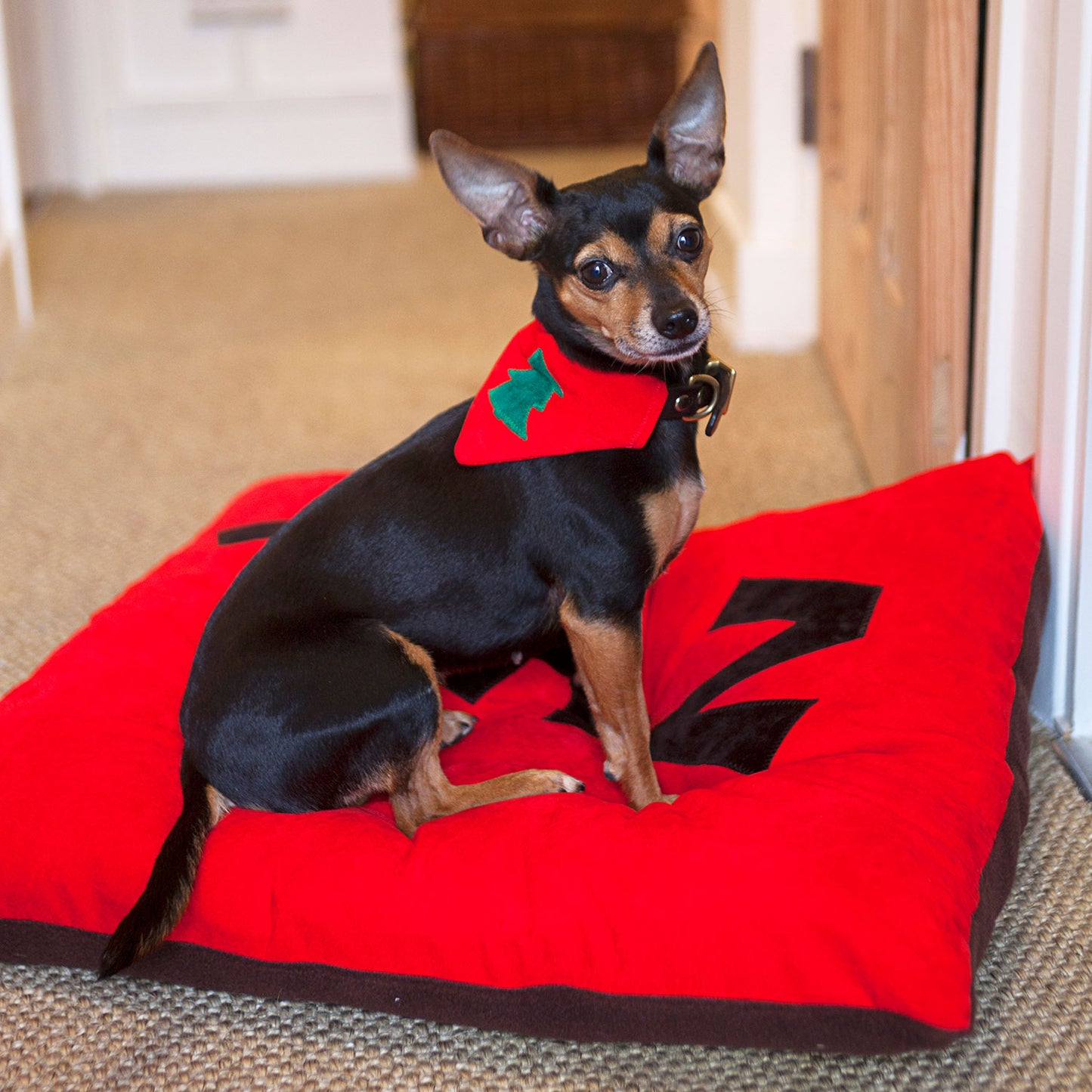 Slip on Dog Bandana - Classic Christmas Tree