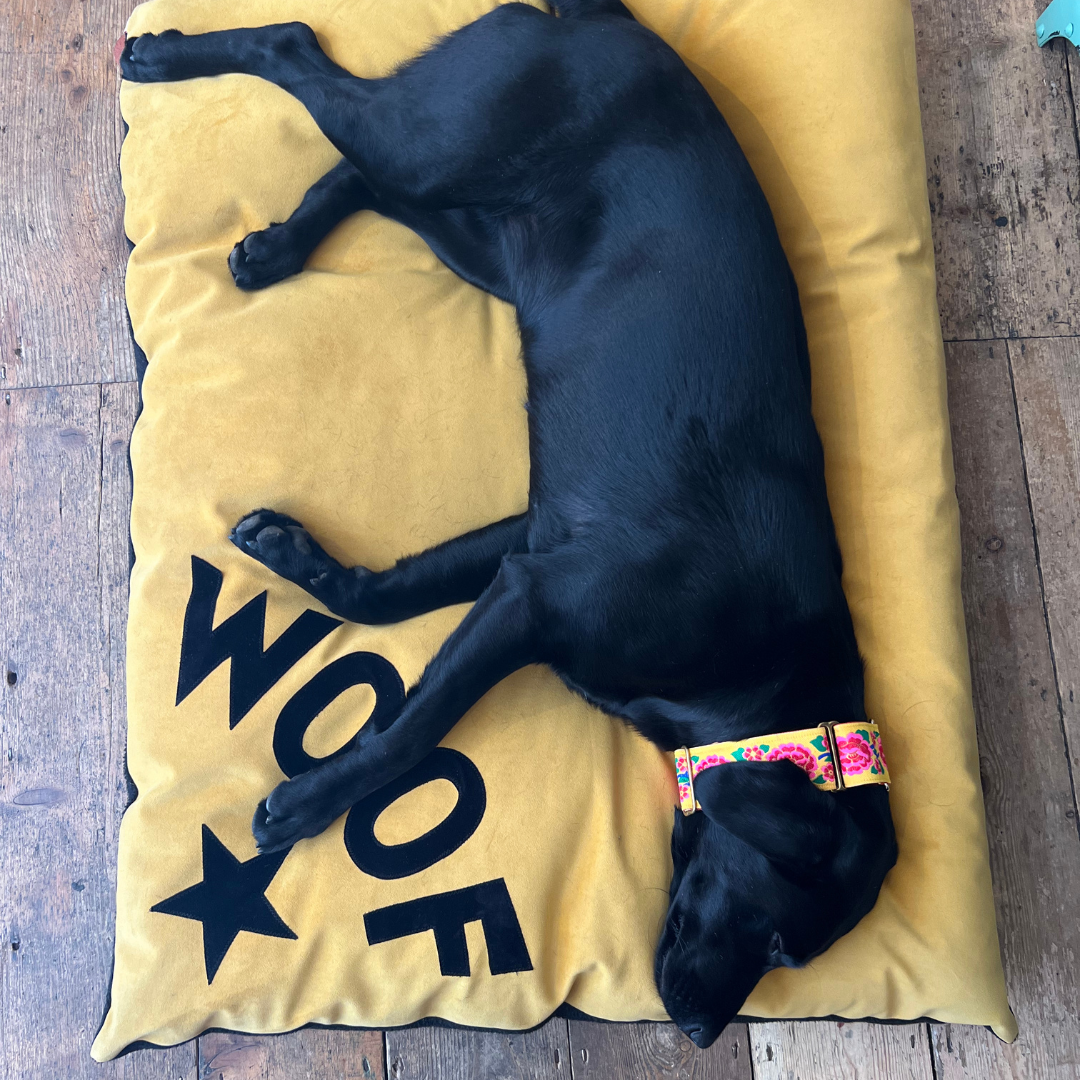 Dog bed in mustard velvet with black Woof letters and star detail, Creature Clothes