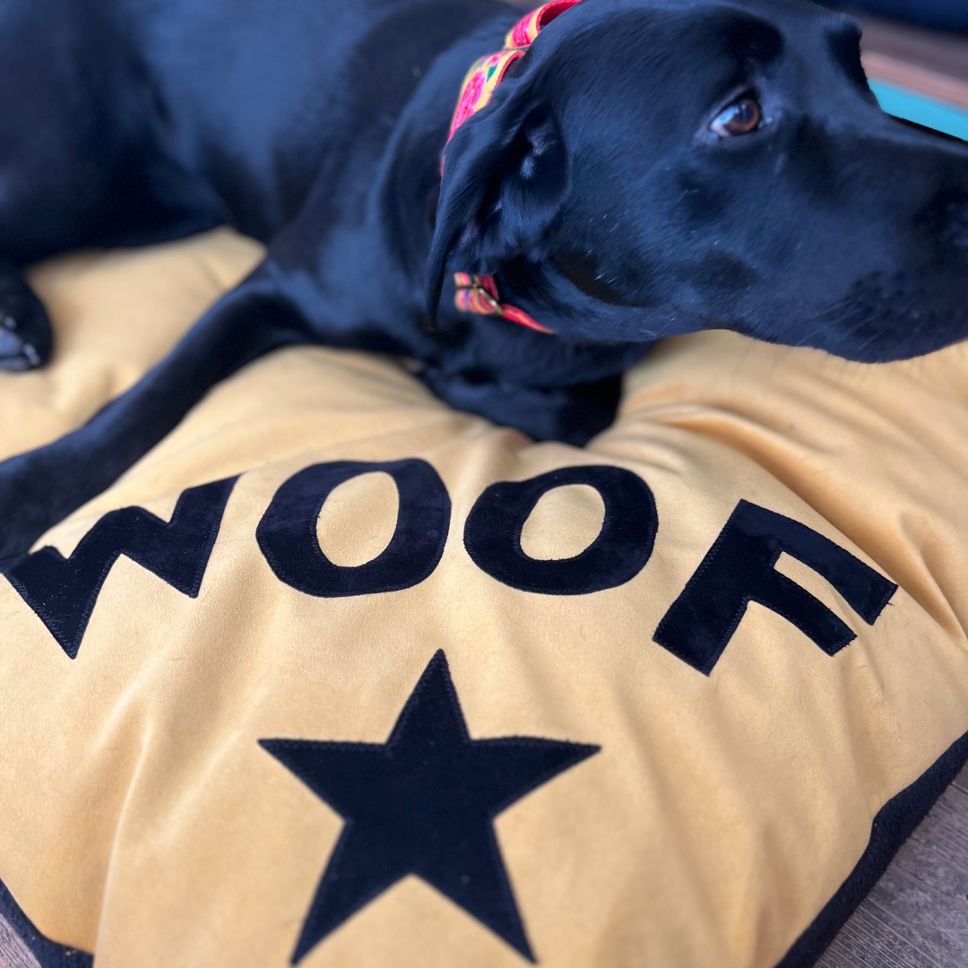 Dog bed in mustard velvet with black Woof letters and star detail, Creature Clothes