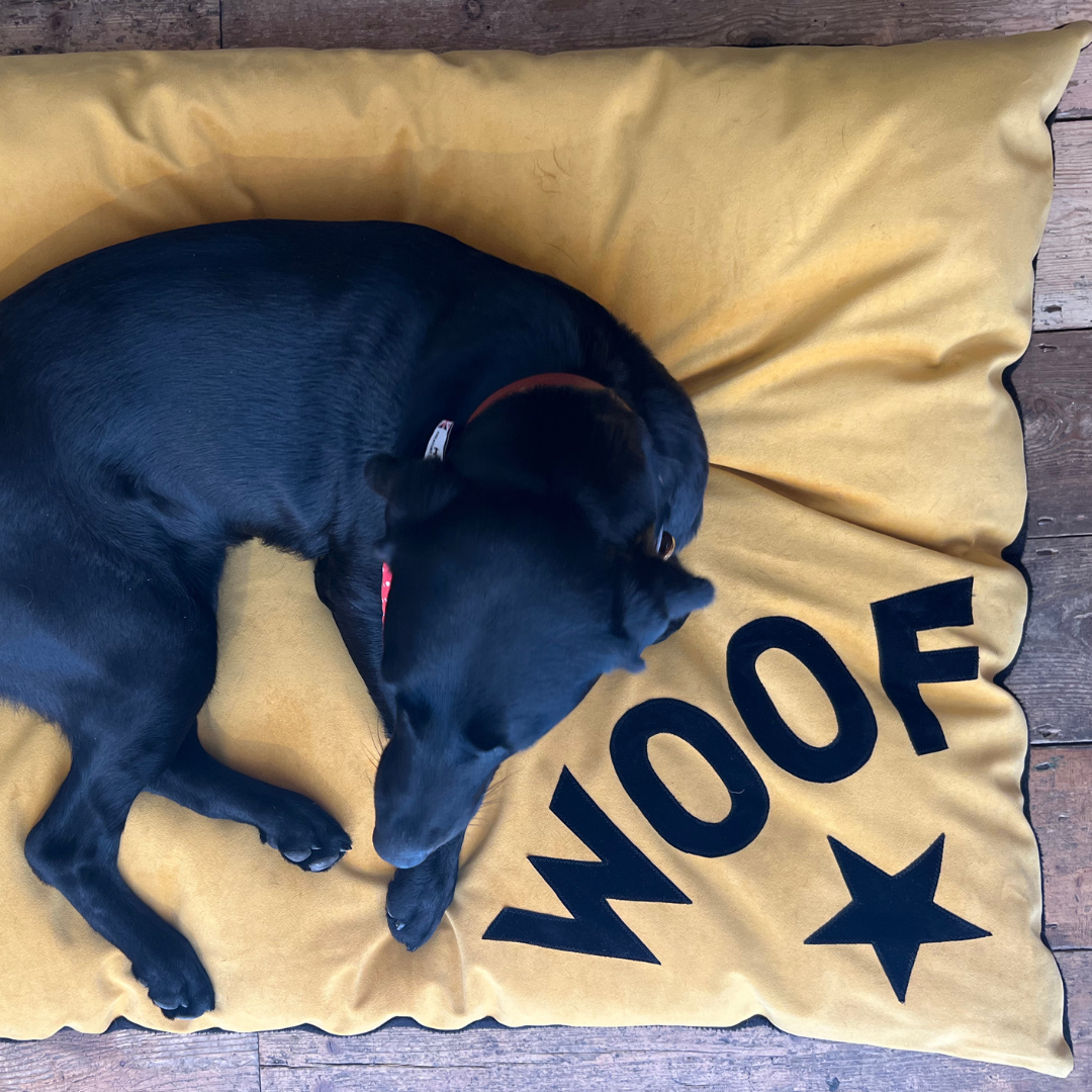 Dog bed in mustard velvet with black Woof letters and star detail