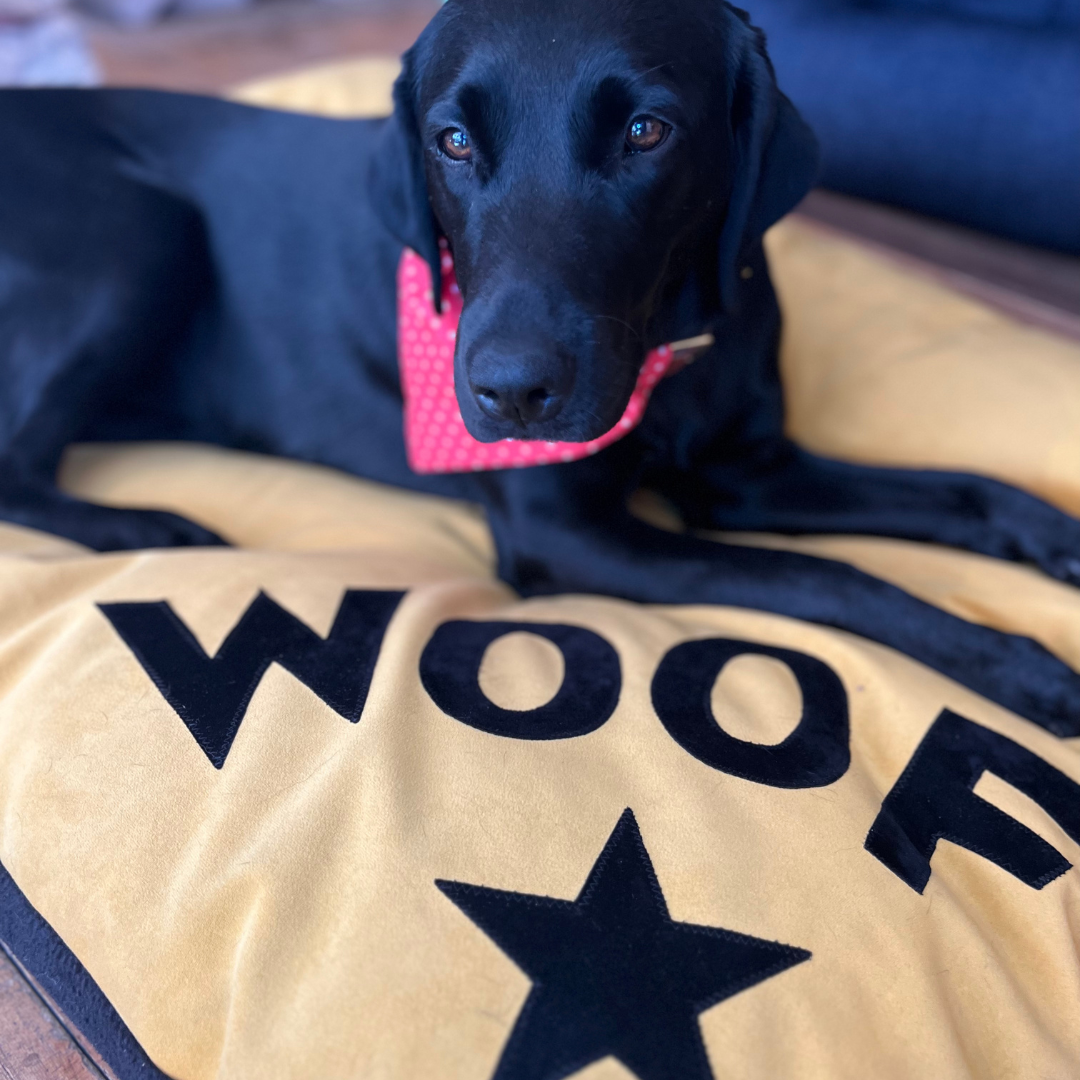 Dog bed in mustard velvet with black Woof letters and star detail