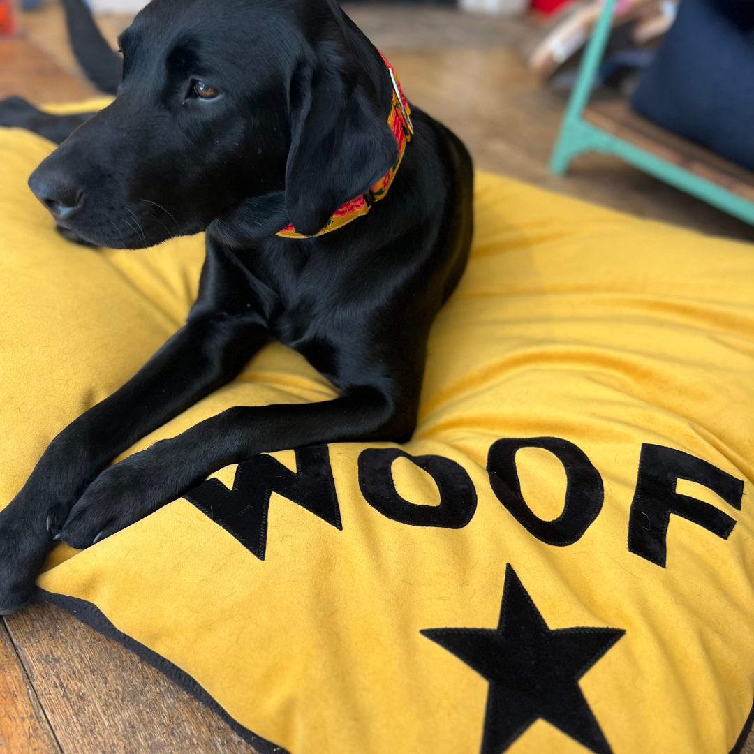 Dog bed in mustard velvet with black Woof letters and star detail