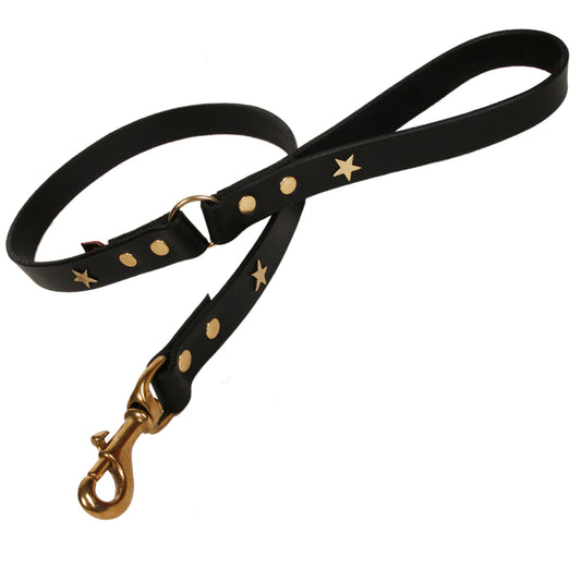 Brass Star Black Leather Dog Lead