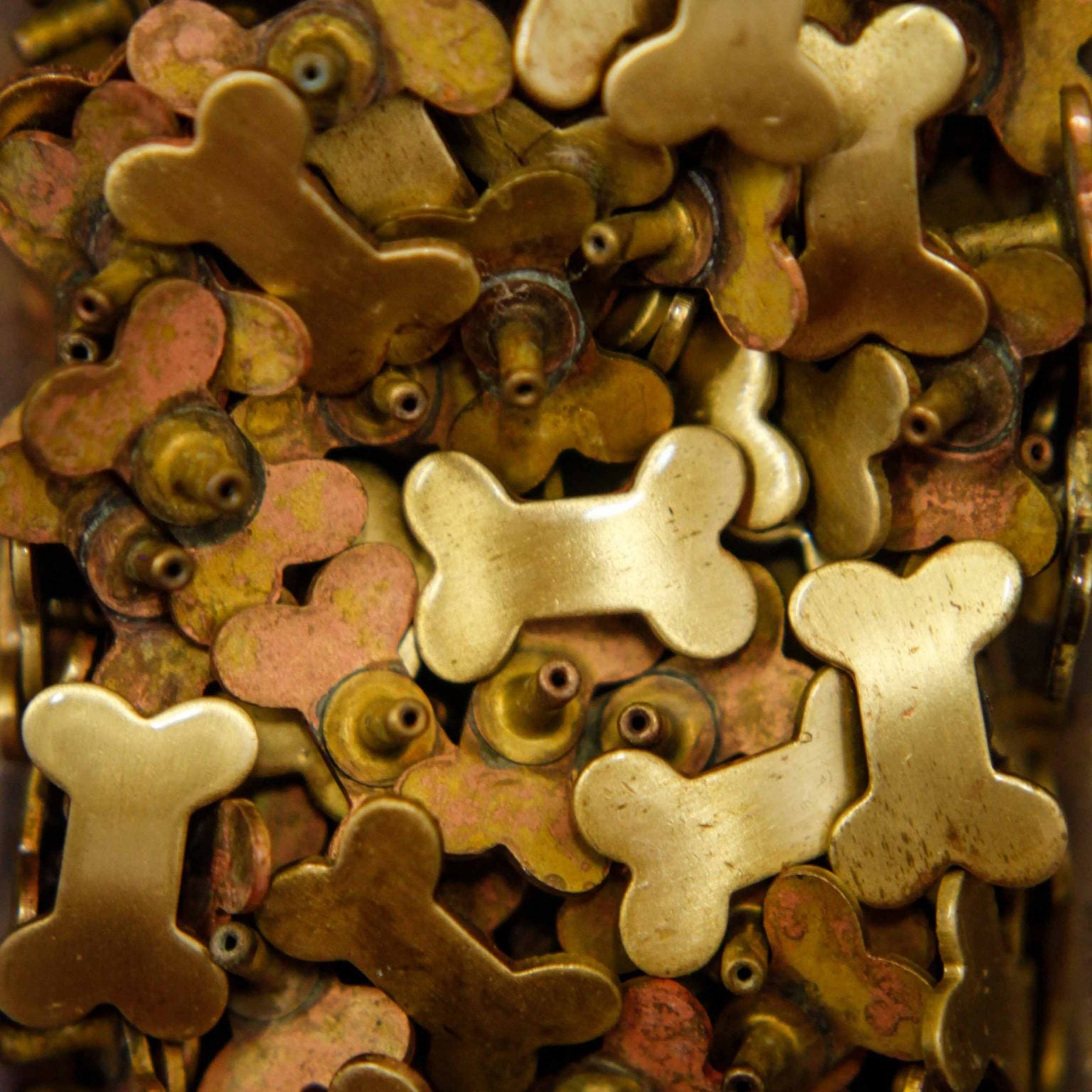 brass bone studs for dog collars, Creature Clothes