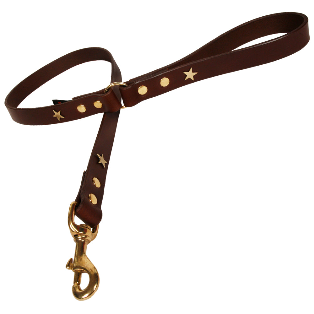 Brass Star Chocolate Brown Leather Dog Lead