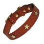 Brass Star Tan Leather Dog Collar