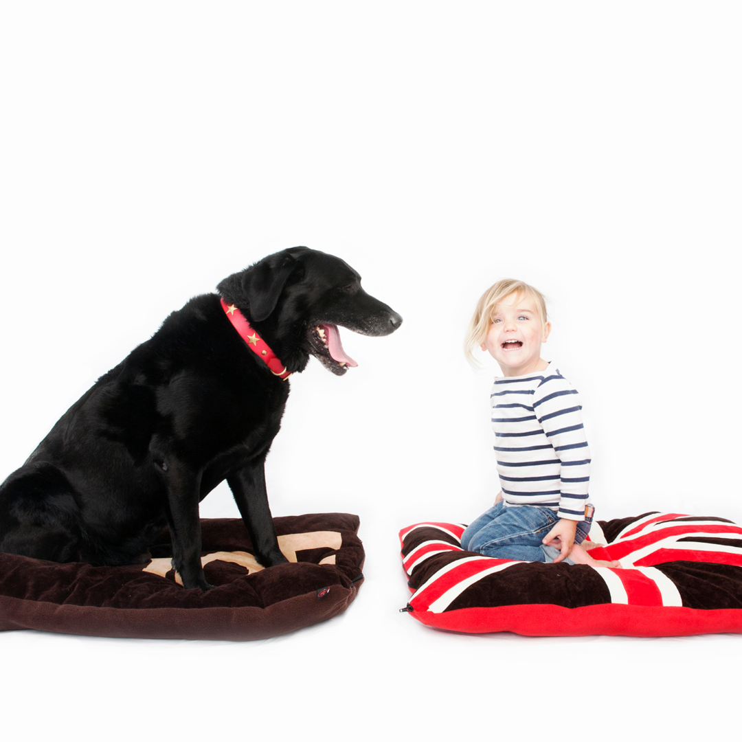 Union Jack Dog Bed, Creature Clothes