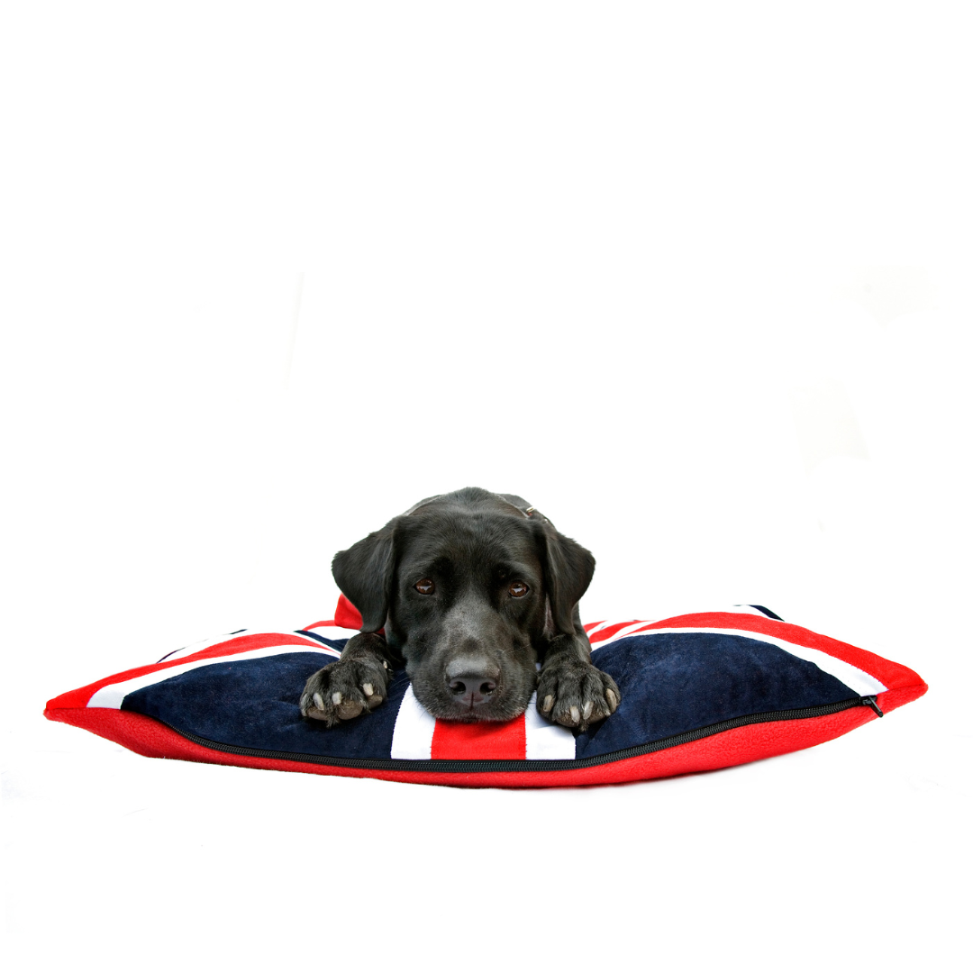 Union Jack Dog Bed, Creature Clothes