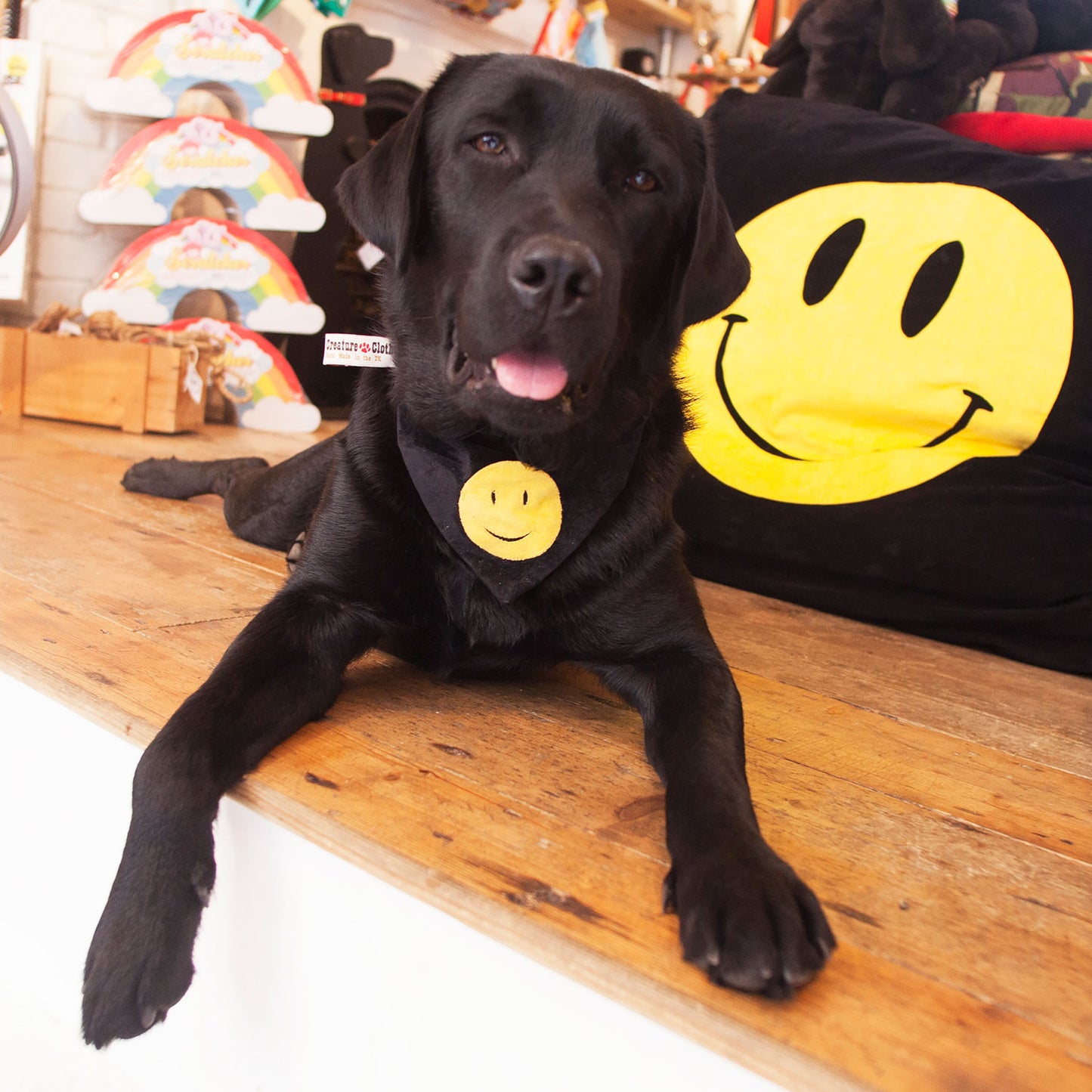 Smiley Face Dog Bed